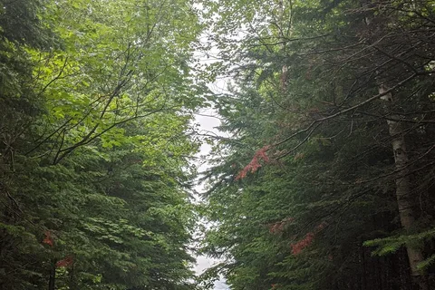 Beothuk Family Park