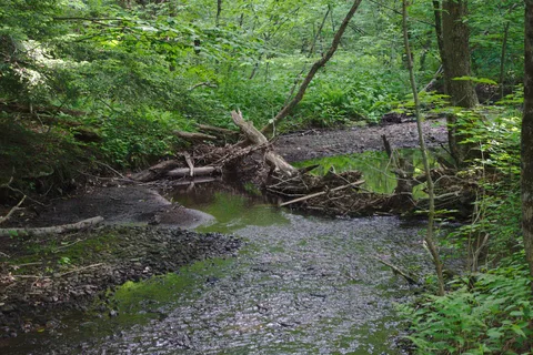 Mt. Greylock Campsite Park