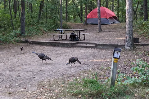 Pinery Provincial Park