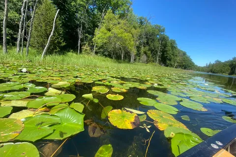 Pinery Provincial Park