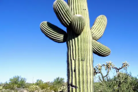 Desert Trails RV Park