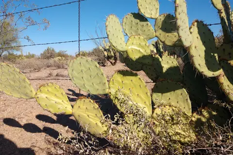 Desert Trails RV Park