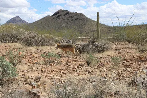Desert Trails RV Park
