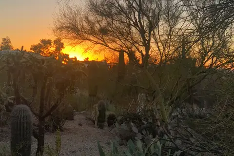 Desert Trails RV Park