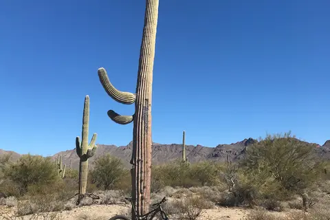 Desert Trails RV Park