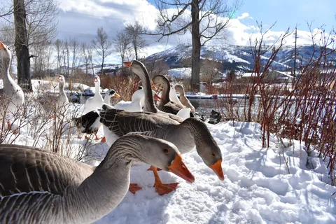 Big Sky RV Park and Campground