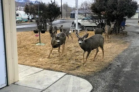 Big Sky RV Park and Campground