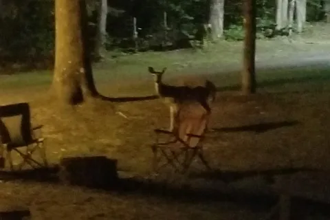 Crescent Campsites
