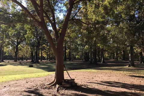 Cajun Heritage RV Park
