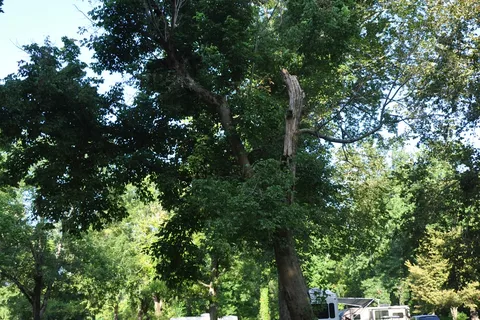 Cajun Heritage RV Park