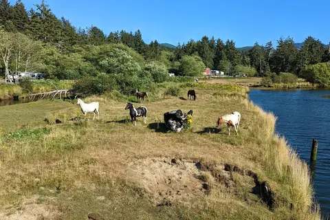 Sea Ranch RV Park