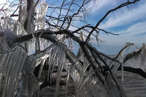 Geneva State Park