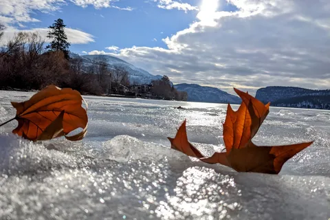 Vaseux Lake Provincial Park.