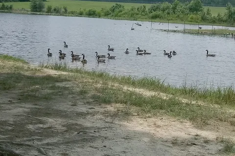 Picture Lake Campground