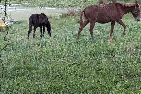 Saddle Valley Campground