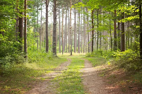 Riverside Park Campground