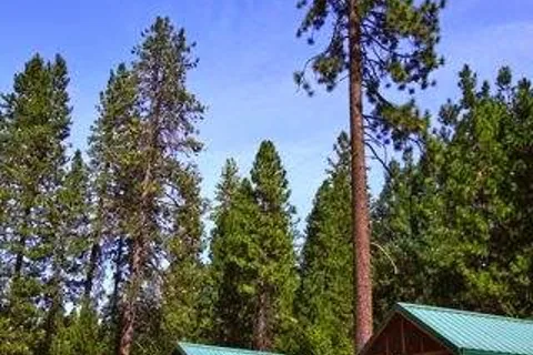 McCloud Dance Country RV Park