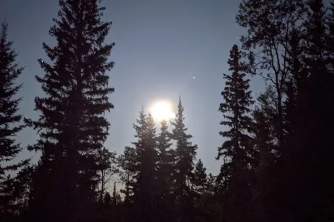 Ten-ee-ah Lodge Wilderness Resort and Campground