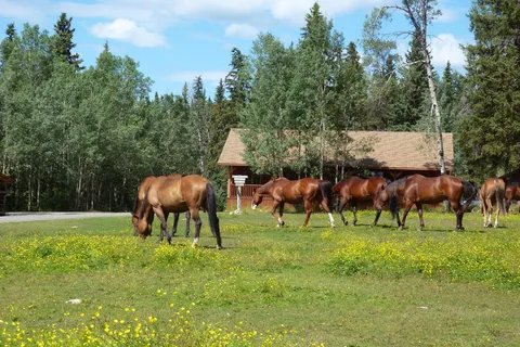 Ten-ee-ah Lodge Wilderness Resort and Campground