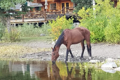 Ten-ee-ah Lodge Wilderness Resort and Campground