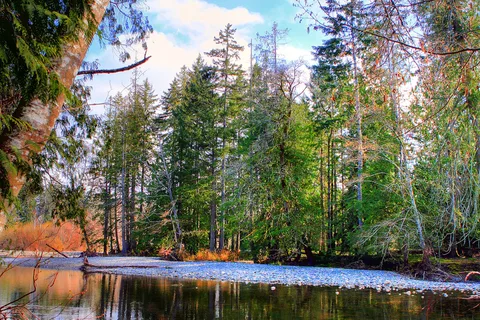 Riverbend Cottage and RV Resort