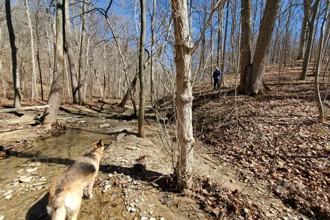 Horsemens - Versailles State Park
