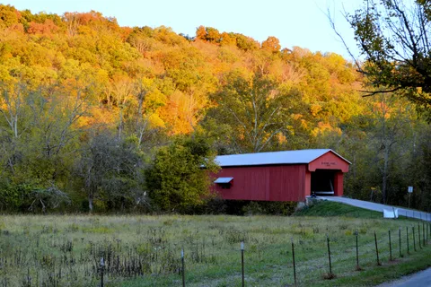 Horsemens - Versailles State Park