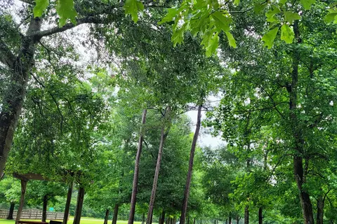Rainbows End RV Park