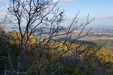 Mount Nebo State Park