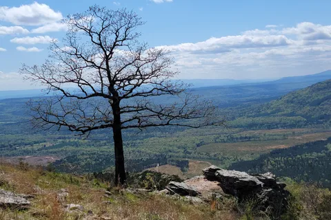 Mount Nebo State Park