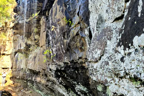 Mount Nebo State Park