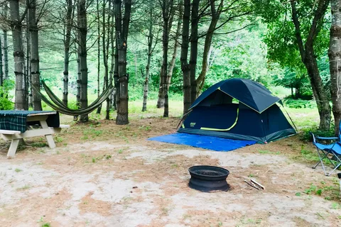 Lone Mountain River Front Campground