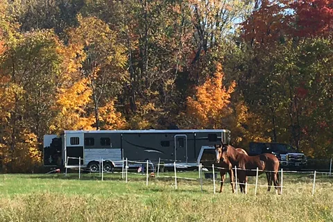 Lone Mountain River Front Campground