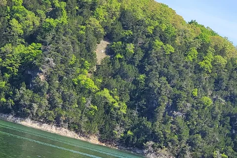 Aunts Creek RV Park