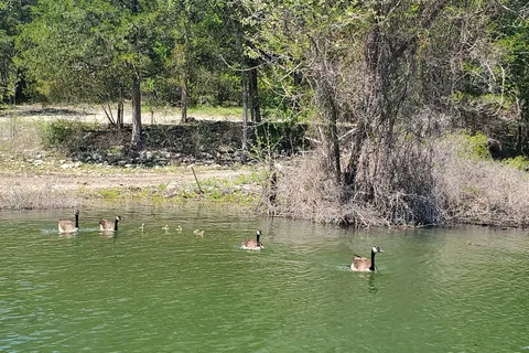 Aunts Creek RV Park