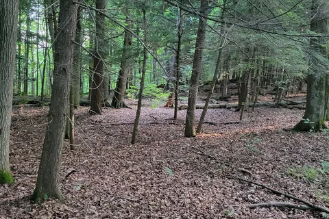 Thompsons Lake - Thacher State Park