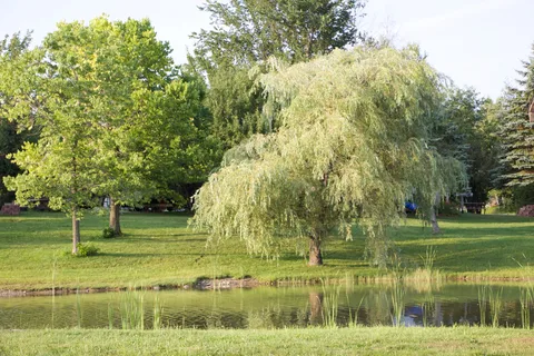 Domaine Des Cantons Inc