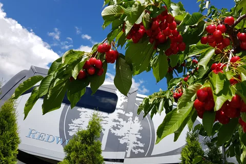 The Orchard at Oliver