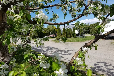 The Orchard at Oliver