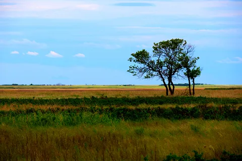 Last Mountain Regional Park