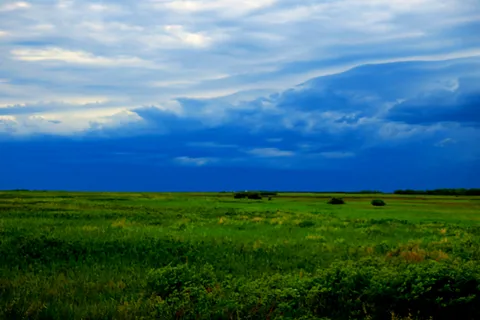 Last Mountain Regional Park