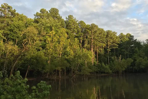 Rolling View - Falls Lake State Recreation Area