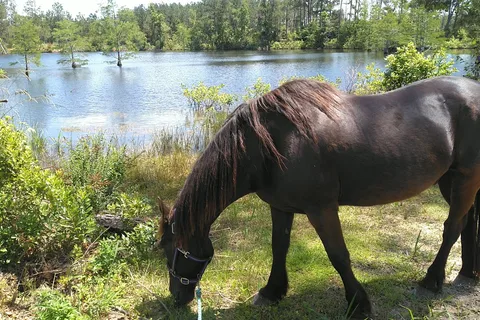 Hitchinpost RV Park and Campground