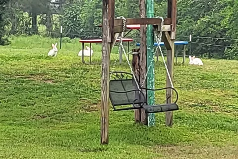 Hitchinpost RV Park and Campground