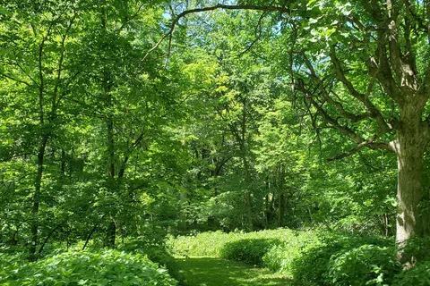 Peaceful Valley Campsites