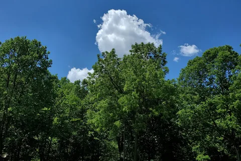 Peaceful Valley Campsites