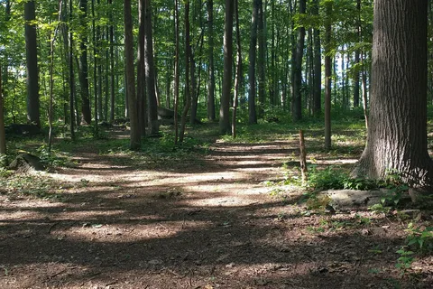 Boulder Woods Campground