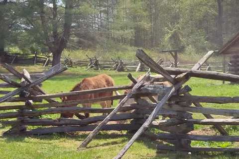 David Crockett Birthplace State Park
