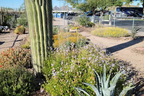 Rincon Country West RV Resort