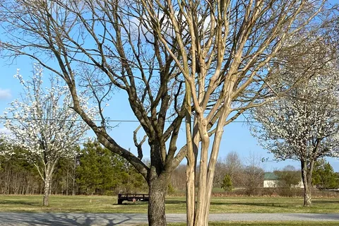Whitney Lane RV Park